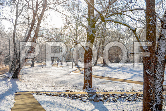 White Christmas 2017 (c)PicsbyJax #christmas #snow #picsbyjax  -9767.jpg