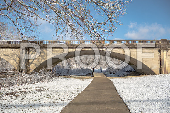 White Christmas 2017 (c)PicsbyJax #christmas #snow #picsbyjax  -9783.jpg