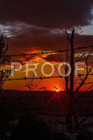 untitled-8315.jpg