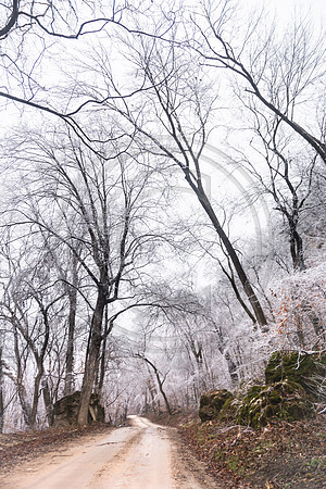 Jupiter Ice Storm- Saturday 14, 2017 (c)PicsbyJax whatisee shootandediteveryday picsbyjax-5223.jpg