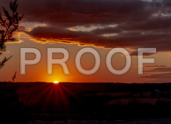 untitled-8319.jpg