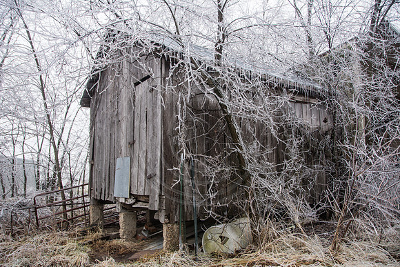 Jupiter Ice Storm- Saturday 14, 2017 (c)PicsbyJax whatisee shootandediteveryday picsbyjax-5049.jpg