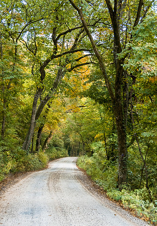 Pulco Gravel Rd_4981.jpg