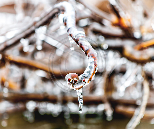 Jupiter Ice Storm- Friday 13, 2017 (c)PicsbyJax whatisee shootandediteveryday picsbyjax-0029.jpg