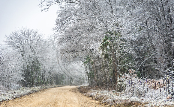 Jupiter Ice Storm- Saturday 14, 2017 (c)PicsbyJax whatisee shootandediteveryday picsbyjax-4818.jpg