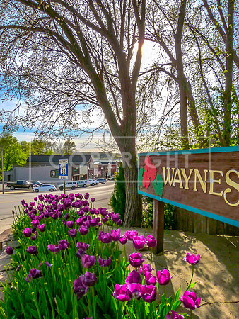 Waynesville SignRoute 66 - Waynesville, MO Entry Sign Spring 2014 (c)2014-2017 #route66 #waynesvillemo #plantersofpulaskicountygardenclub _5877.jpg