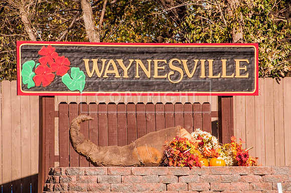 Waynesville Sign -0812.jpg