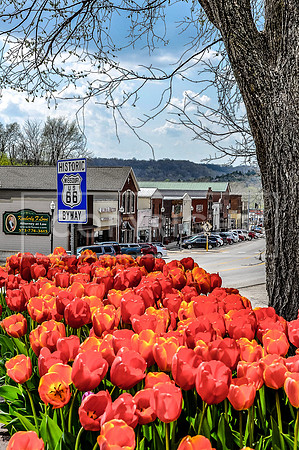 Waynesville Route 660498.jpg