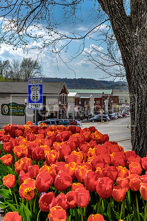 Waynesville Route 660498-2.jpg