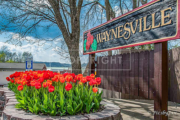 Waynesville SignRoute 66 - Waynesville, MO  2015 (c)2015-2017 #route66 #waynesvillemo #plantersofpulaskicountygardenclub MG_1573.jpg