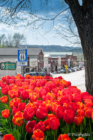 Route 66 - Waynesville, MO Entry Sign Spring 2015 (c)2015-2017 #route66 #waynesvillemo #plantersofpulaskicountygardenclub #getyourpicsonroute66 IMG_1574.jpg