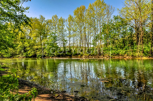 20819767831_57f63da112_o.jpg