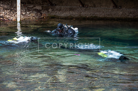 DSC_8051.jpg