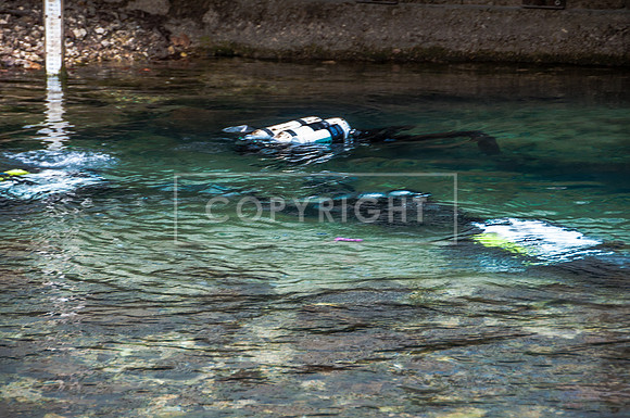 DSC_8055.jpg