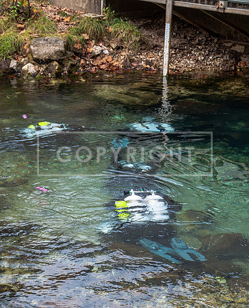 DSC_8056.jpg