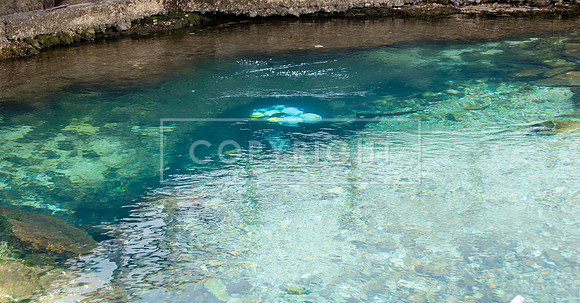 DSC_8078.jpg