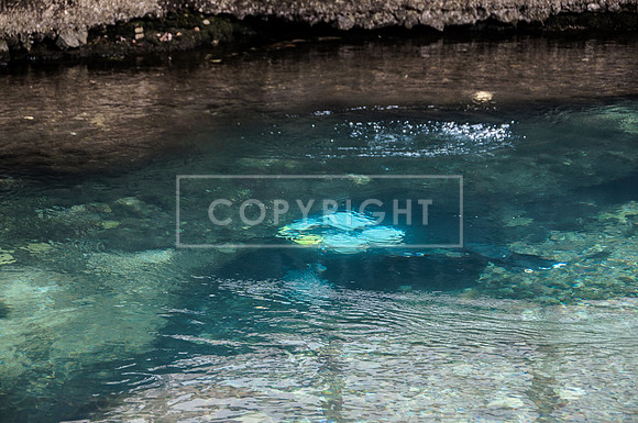 DSC_8083.jpg