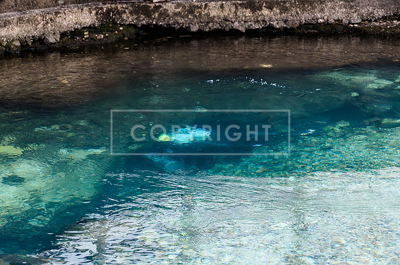 DSC_8084.jpg
