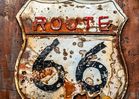 Rusty 66-9831.jpg