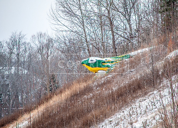 Frog Rock Winter 2017 (c)PicsbyJax #snow #whatisee #shootandediteveryday-0045.jpg