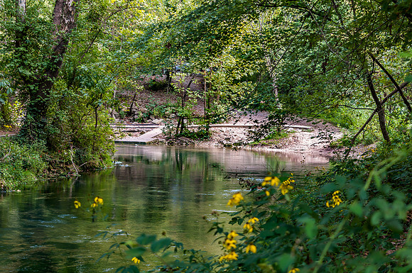 DSC_0252.jpg