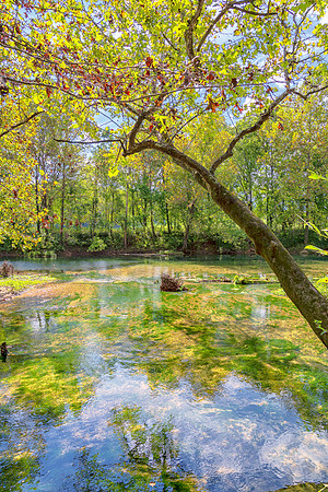 Roubidoux (c)PicsbyJax-4476-Edit.jpg