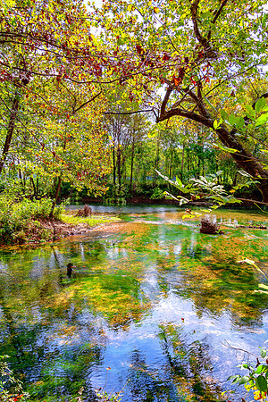 Roubidoux (c)PicsbyJax-4479-Edit.jpg