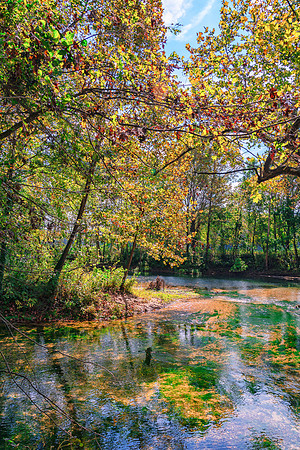 Roubidoux (c)PicsbyJax-4482-Edit.jpg