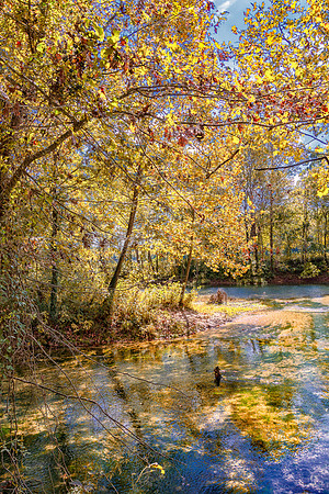 Roubidoux (c)PicsbyJax-4485-Edit.jpg