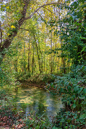 Roubidoux (c)PicsbyJax-4491-Edit.jpg