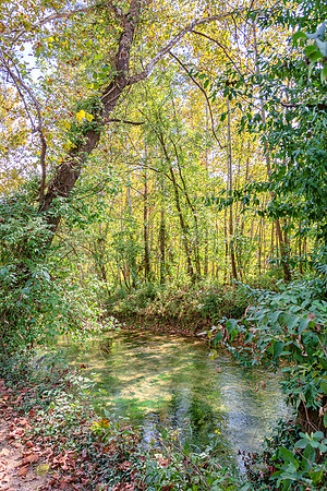 Roubidoux (c)PicsbyJax-4494-Edit.jpg