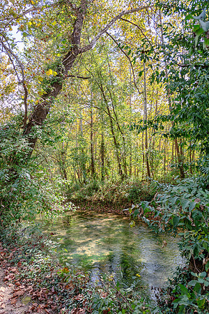 Roubidoux (c)PicsbyJax-4496-Edit.jpg