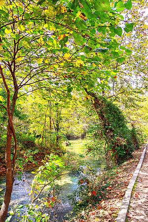 Roubidoux (c)PicsbyJax-4499-Edit.jpg