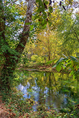 Roubidoux (c)PicsbyJax-4510-Edit.jpg