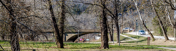 First Day of Spring 2017 (c)PicsbyJax #firstdayofspring2017-0289.jpg