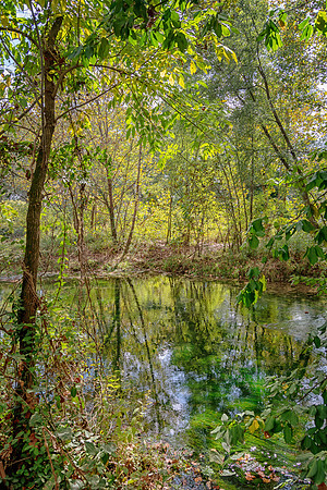 Roubidoux (c)PicsbyJax-4517-Edit.jpg