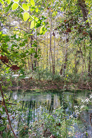 Roubidoux (c)PicsbyJax-4520-Edit.jpg