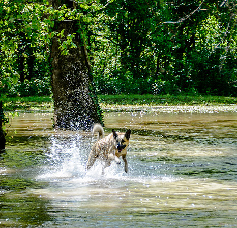 Roubidoux Creek Floods April 27, 2017 (c)PicsbyJax-9560.jpg