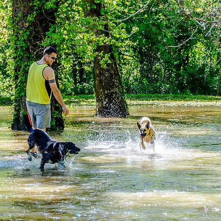 Roubidoux Creek Floods April 27, 2017 (c)PicsbyJax-9561.jpg
