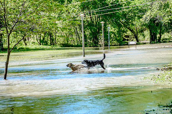 Roubidoux Creek Floods April 27, 2017 (c)PicsbyJax-9568.jpg