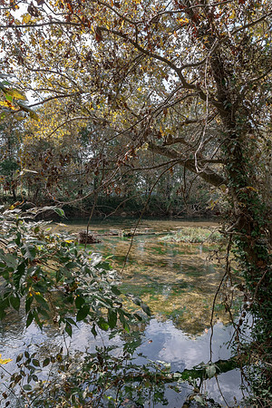 Roubidoux (c)PicsbyJax-4538-Edit.jpg