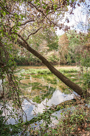Roubidoux (c)PicsbyJax-4541-Edit.jpg