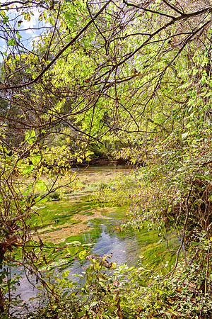 Roubidoux (c)PicsbyJax-4544-Edit.jpg