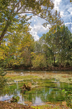 Roubidoux (c)PicsbyJax-4553-Edit.jpg