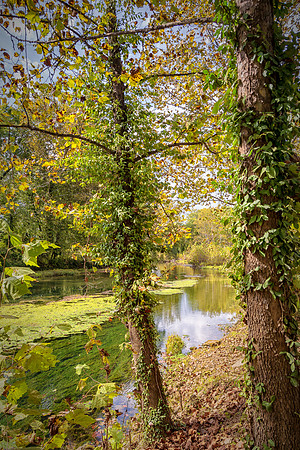 Roubidoux (c)PicsbyJax-4556-Edit.jpg