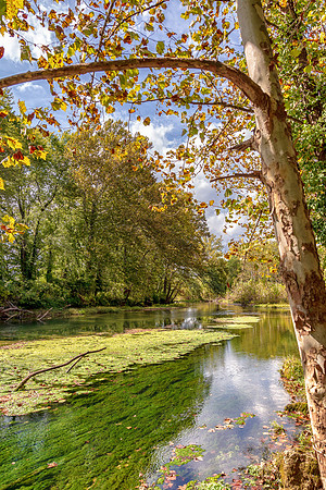 Roubidoux (c)PicsbyJax-4559-Edit.jpg