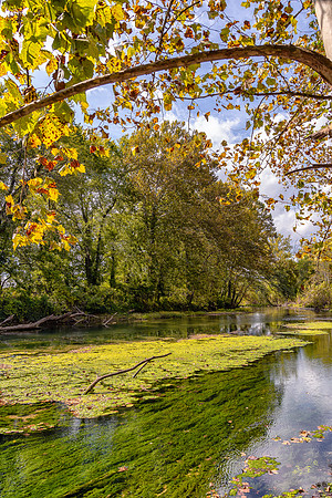 Roubidoux (c)PicsbyJax-4562-Edit.jpg