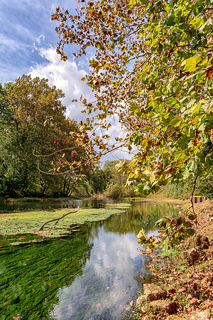 Roubidoux (c)PicsbyJax-4568-Edit.jpg