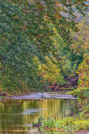 Roubidoux (c)PicsbyJax-4601-Edit.jpg