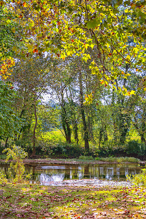 Roubidoux (c)PicsbyJax-4615-Edit.jpg